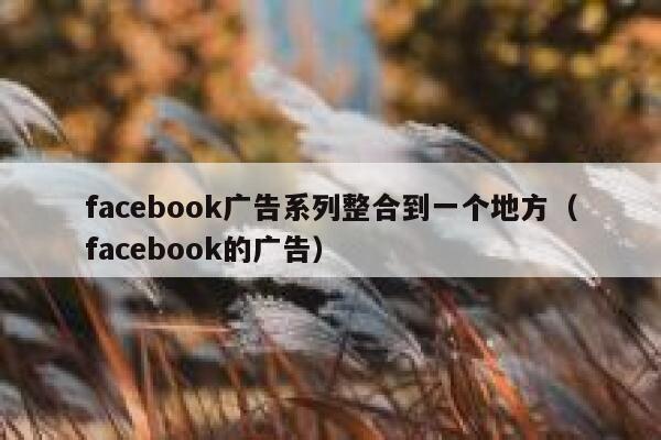 facebook广告系列整合到一个地方（facebook的广告） 第1张
