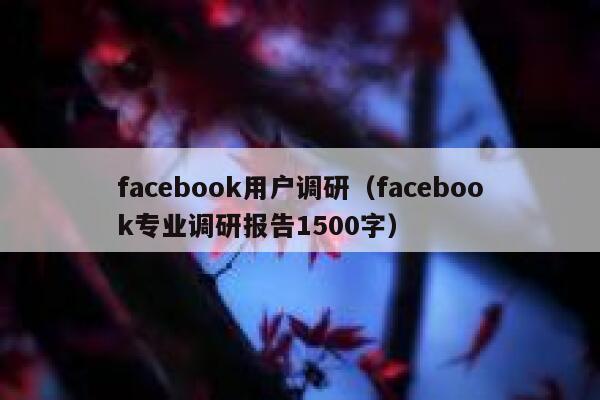 facebook用户调研（facebook专业调研报告1500字） 第1张