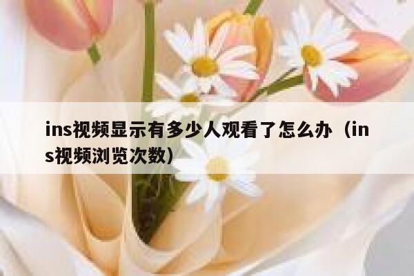 ins视频显示有多少人观看了怎么办（ins视频浏览次数） 第1张
