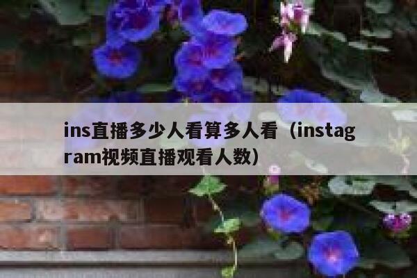 ins直播多少人看算多人看(instagram视频直播观看人数) 第1张 ins直播多少人看算多人看(instagram视频直播观看人数) 第1张
