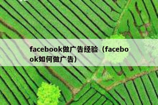 facebook做广告经验(facebook如何做广告) 第1张 facebook做广告经验(facebook如何做广告) 第1张