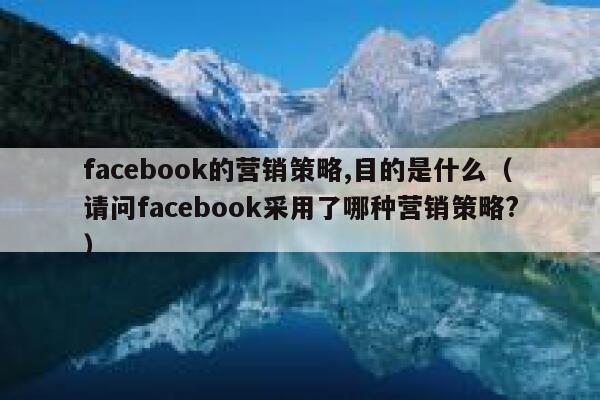 facebook的营销策略,目的是什么(请问facebook采用了哪种营销策略?) 第1张 facebook的营销策略,目的是什么(请问facebook采用了哪种营销策略?) 第1张