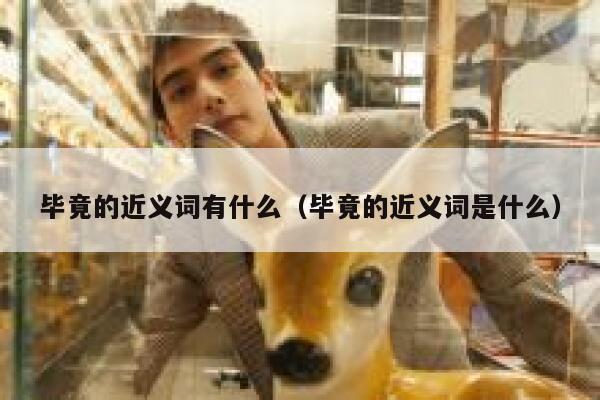 毕竟的近义词有什么（毕竟的近义词是什么） 第1张