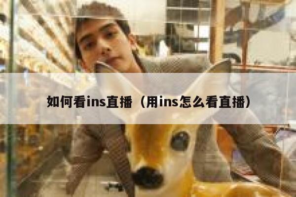 如何看ins直播（用ins怎么看直播） 第1张