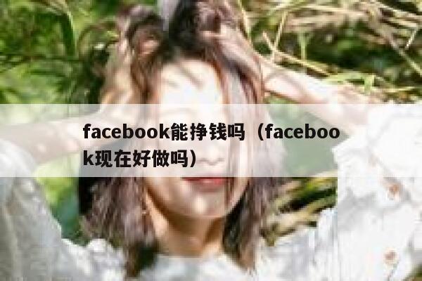 facebook能挣钱吗（facebook现在好做吗） 第1张
