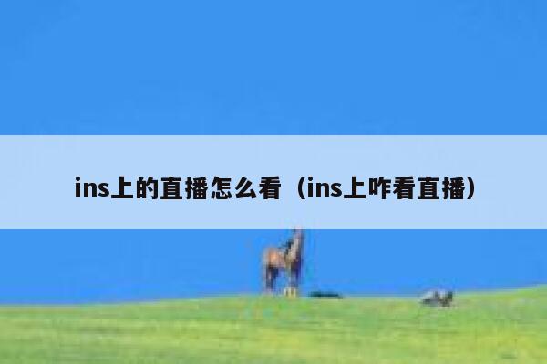 ins上的直播怎么看(ins上咋看直播) 第1张 ins上的直播怎么看(ins上咋看直播) 第1张