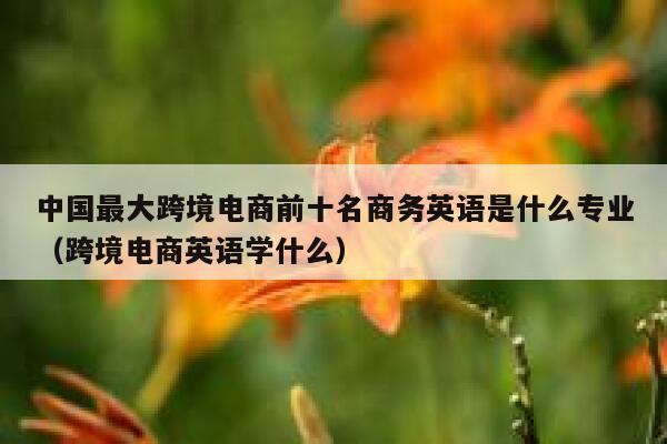 中国最大跨境电商前十名商务英语是什么专业(跨境电商英语学什么) 第1张 中国最大跨境电商前十名商务英语是什么专业(跨境电商英语学什么) 第1张