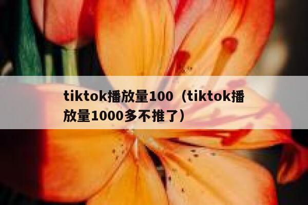 tiktok播放量100(tiktok播放量1000多不推了) 第1张 tiktok播放量100(tiktok播放量1000多不推了) 第1张