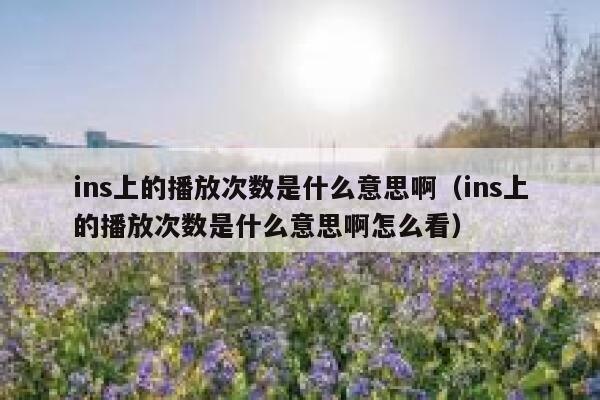 ins上的播放次数是什么意思啊（ins上的播放次数是什么意思啊怎么看） 第1张