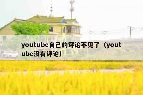 youtube自己的评论不见了(youtube没有评论) 第1张 youtube自己的评论不见了(youtube没有评论) 第1张
