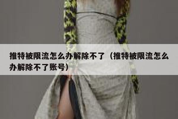 推特被限流怎么办解除不了（推特被限流怎么办解除不了账号） 第1张