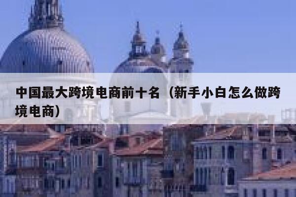 中国最大跨境电商前十名（新手小白怎么做跨境电商） 第1张