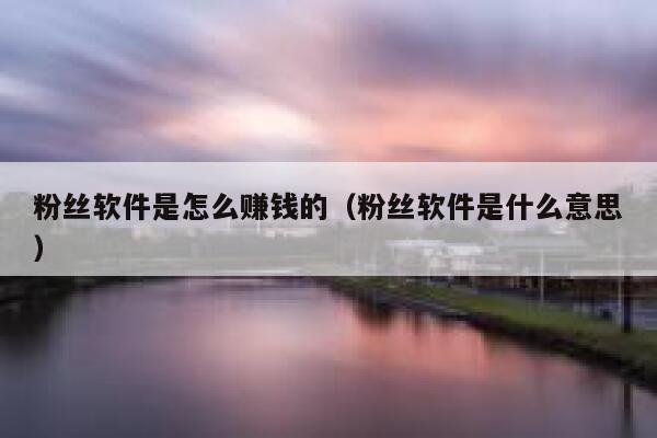 粉丝软件是怎么赚钱的（粉丝软件是什么意思） 第1张