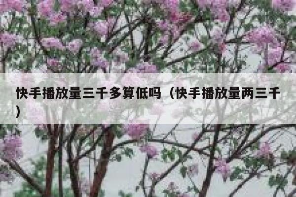 快手播放量三千多算低吗（快手播放量两三千） 第1张