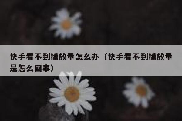 快手看不到播放量怎么办（快手看不到播放量是怎么回事） 第1张