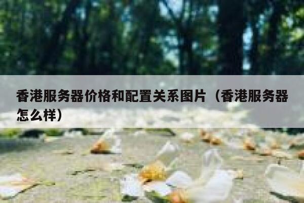 香港服务器价格和配置关系图片（香港服务器怎么样） 第1张