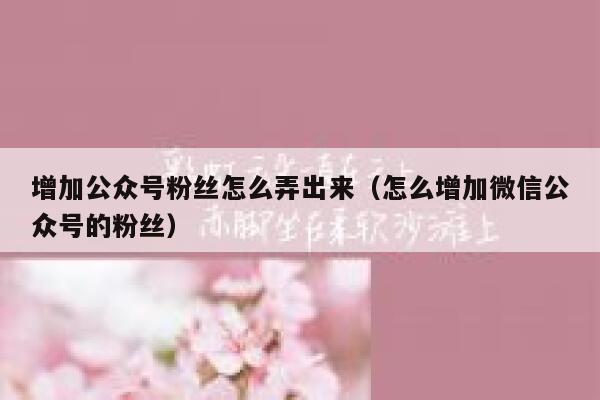 增加公众号粉丝怎么弄出来（怎么增加微信公众号的粉丝） 第1张
