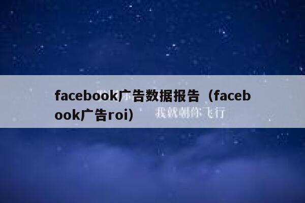 facebook广告数据报告（facebook广告roi） 第1张