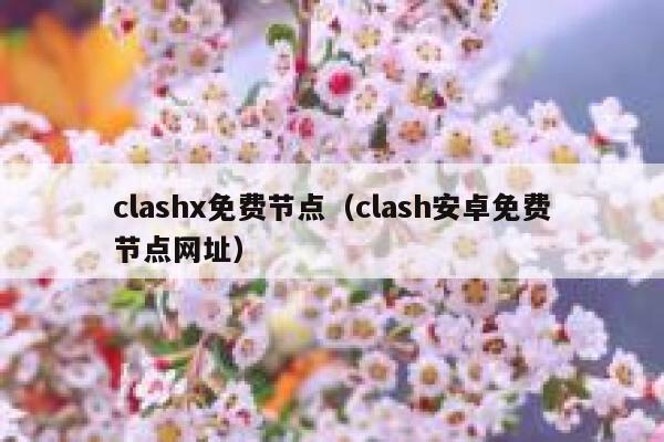 clashx免费节点（clash安卓免费节点网址） 第1张