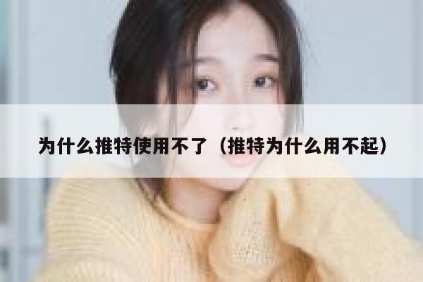 为什么推特使用不了（推特为什么用不起） 第1张