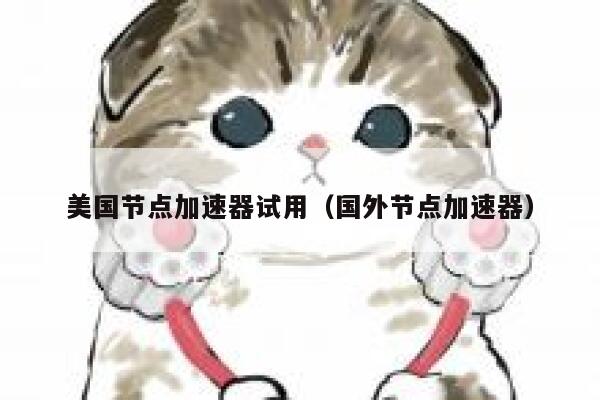 美国节点加速器试用（国外节点加速器） 第1张