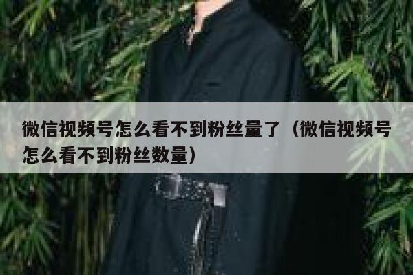 微信视频号怎么看不到粉丝量了（微信视频号怎么看不到粉丝数量） 第1张