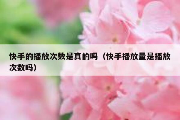 快手的播放次数是真的吗（快手播放量是播放次数吗） 第1张