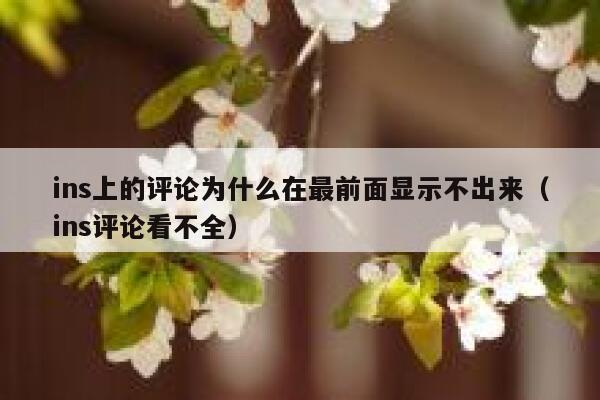 ins上的评论为什么在最前面显示不出来（ins评论看不全） 第1张