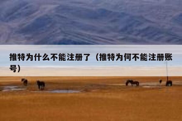 推特为什么不能注册了（推特为何不能注册账号） 第1张