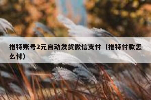 推特账号2元自动发货微信支付（推特付款怎么付） 第1张