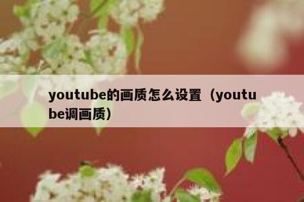 youtube的画质怎么设置（youtube调画质） 第1张