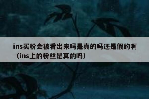 ins买粉会被看出来吗是真的吗还是假的啊(ins上的粉丝是真的吗) 第1张 ins买粉会被看出来吗是真的吗还是假的啊(ins上的粉丝是真的吗) 第1张