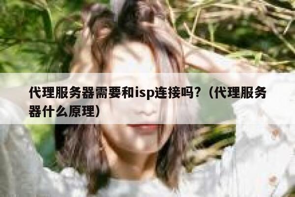 代理服务器需要和isp连接吗?（代理服务器什么原理） 第1张