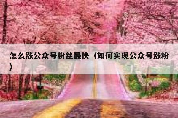 怎么涨公众号粉丝最快(如何实现公众号涨粉) 第1张 怎么涨公众号粉丝最快(如何实现公众号涨粉) 第1张