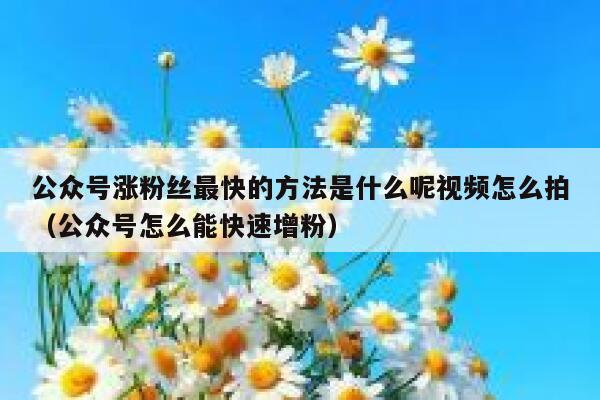 公众号涨粉丝最快的方法是什么呢视频怎么拍（公众号怎么能快速增粉） 第1张