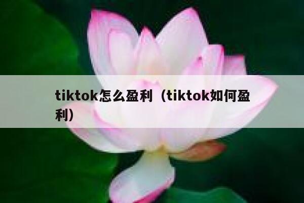 tiktok怎么盈利（tiktok如何盈利） 第1张