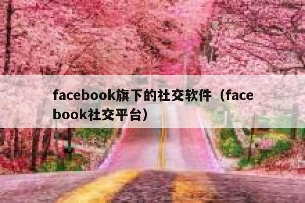 facebook旗下的社交软件（facebook社交平台） 第1张