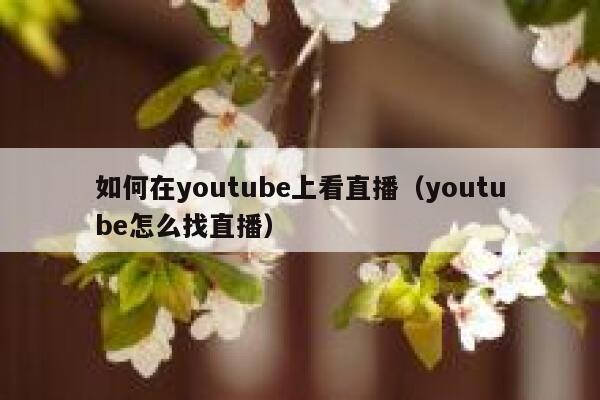 如何在youtube上看直播（youtube怎么找直播） 第1张
