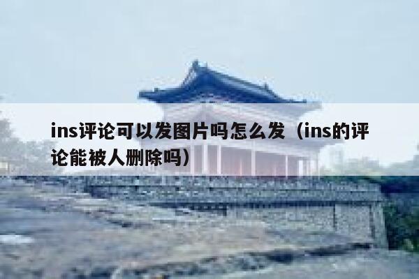 ins评论可以发图片吗怎么发（ins的评论能被人删除吗） 第1张