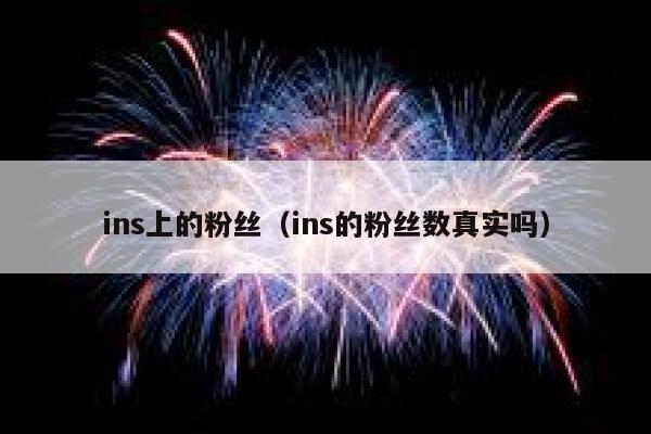 ins上的粉丝（ins的粉丝数真实吗） 第1张