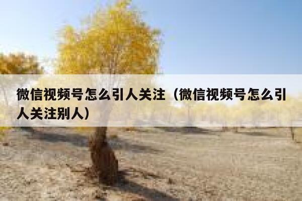 微信视频号怎么引人关注（微信视频号怎么引人关注别人） 第1张