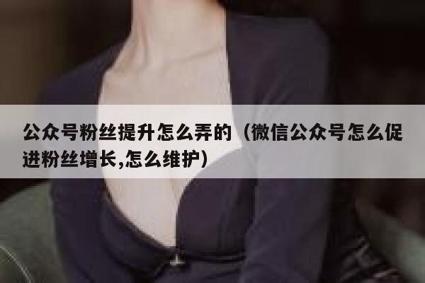 公众号粉丝提升怎么弄的（微信公众号怎么促进粉丝增长,怎么维护） 第1张