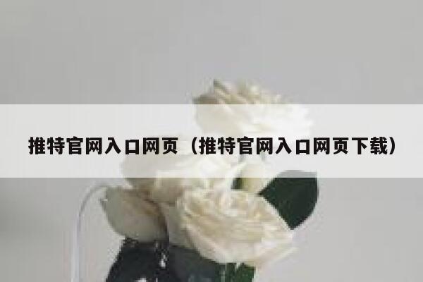 推特官网入口网页（推特官网入口网页下载） 第1张