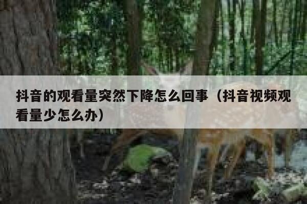 抖音的观看量突然下降怎么回事（抖音视频观看量少怎么办） 第1张
