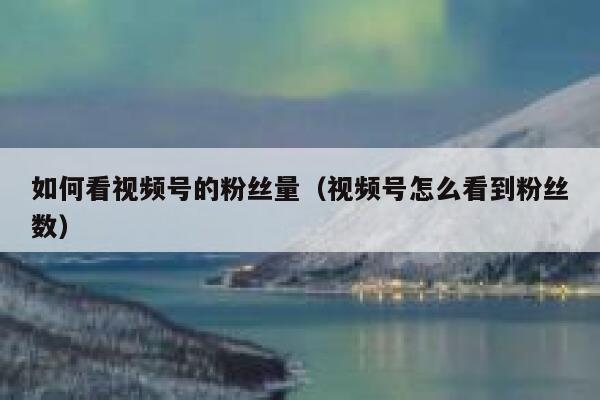 如何看视频号的粉丝量（视频号怎么看到粉丝数） 第1张