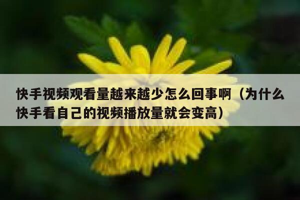 快手视频观看量越来越少怎么回事啊(为什么快手看自己的视频播放量就会变高) 第1张 快手视频观看量越来越少怎么回事啊(为什么快手看自己的视频播放量就会变高) 第1张