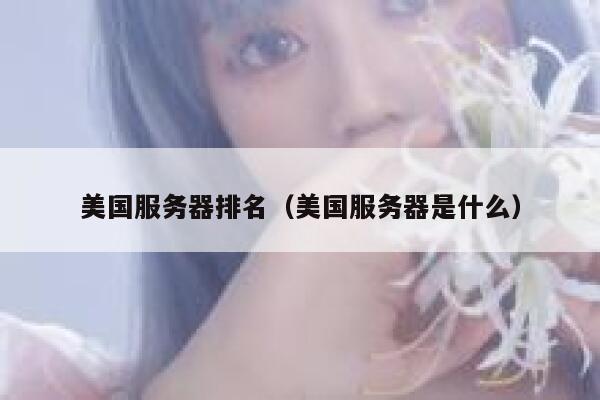 美国服务器排名（美国服务器是什么） 第1张
