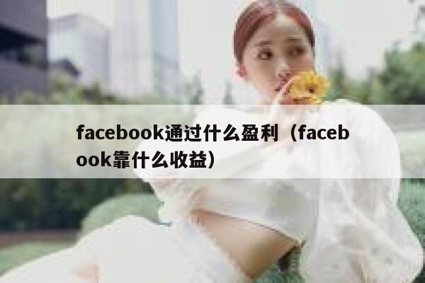 facebook通过什么盈利（facebook靠什么收益） 第1张