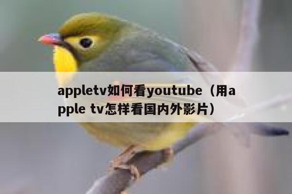 appletv如何看youtube（用apple tv怎样看国内外影片） 第1张