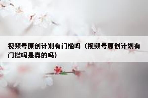 视频号原创计划有门槛吗（视频号原创计划有门槛吗是真的吗） 第1张